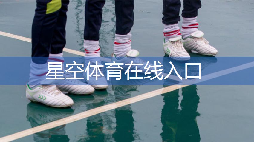 星空体育：田径器材专项