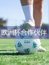 神奇变换！多功能院子绿化草坪，轻松满足各种需求！