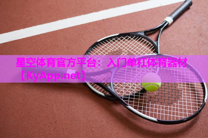 入门单杠体育器材